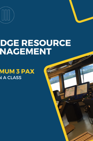 Bridge Resource Management (BRM)​